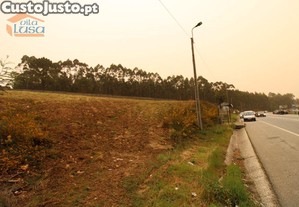 imagem_25