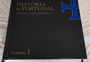 História de Portugal - Portugal na Pré-História (NOVO)