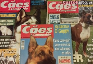 imagem_1