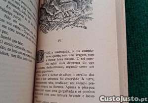 imagem_8
