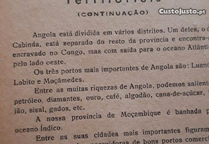 imagem_7