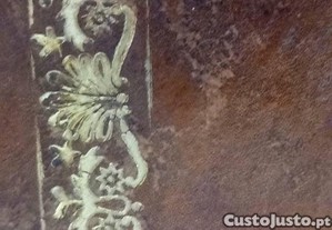 imagem_5