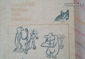 imagem_6
