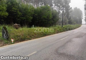 Terreno Com 5.440 M2, Em Nogueira Da Regedoura,...