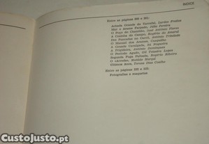 imagem_7