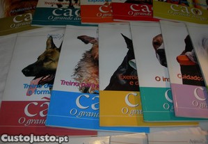 imagem_7