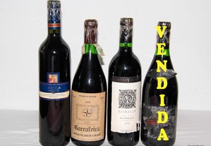 2º_ Vinhos tintos de 1996 (com 28 anos)