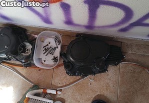 imagem_12