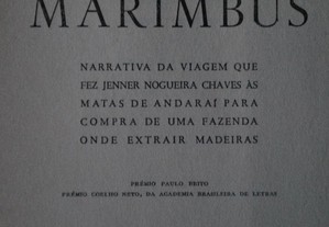 imagem_2