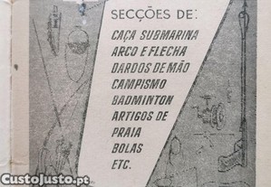 imagem_5