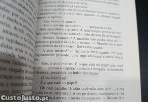 imagem_7