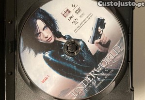 imagem_6