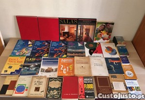 Lote de 31 livros