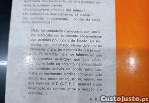 imagem_8