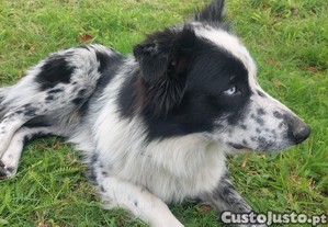 imagem_5
