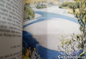 imagem_6