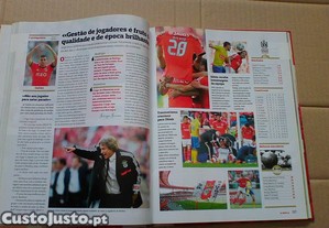 imagem_5