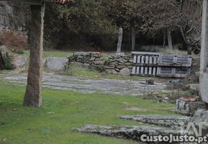 imagem_15