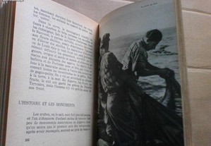 imagem_8