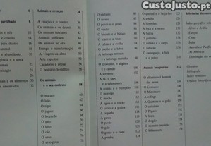 imagem_7
