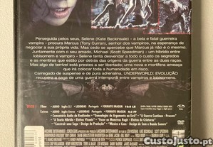 imagem_7