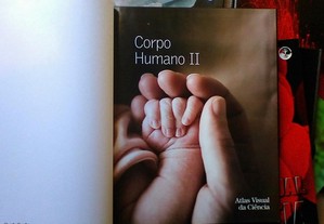 imagem_7