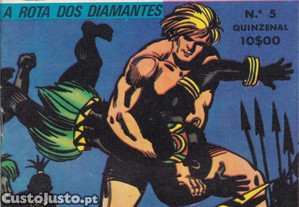 imagem_2