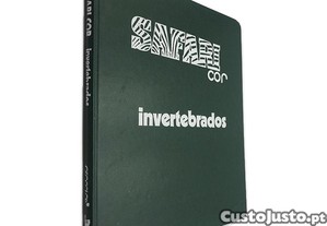 imagem_1