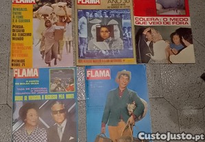 imagem_3