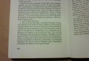 imagem_8