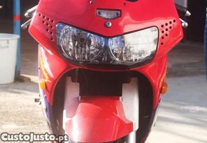 imagem_3