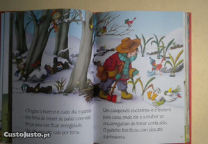 imagem_6