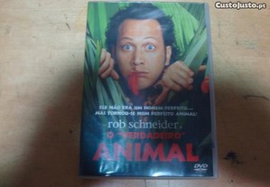 dvd original o verdadeiro animal