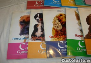 imagem_8