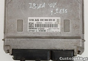 imagem_1