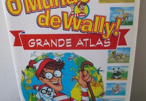 imagem_3