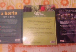 imagem_7