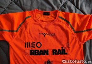 imagem_8