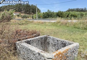 imagem_7