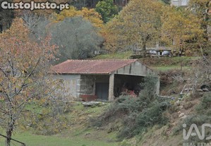imagem_7