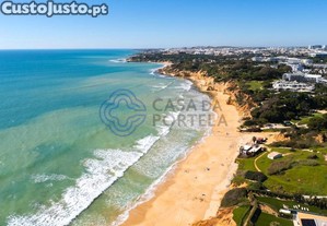 imagem_7