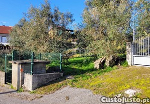Terreno Urbano Em Passos De Silgueiros