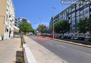 imagem_16