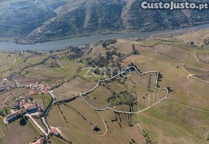 Quinta Na Régua Para Produção Vinícola