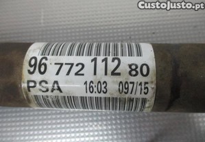 imagem_5