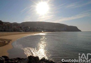 imagem_15