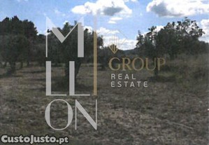 Terreno com Oliveiras- 791
