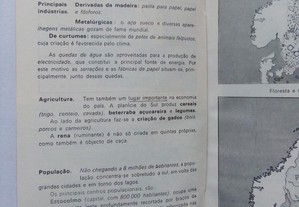 imagem_5