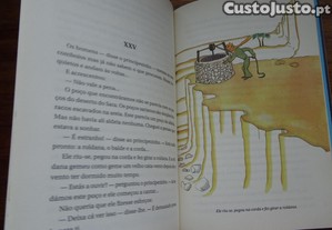 imagem_5