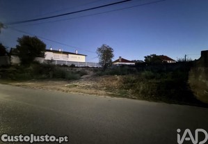 imagem_9